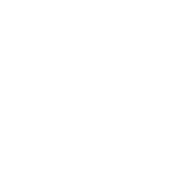 Johann Ricci